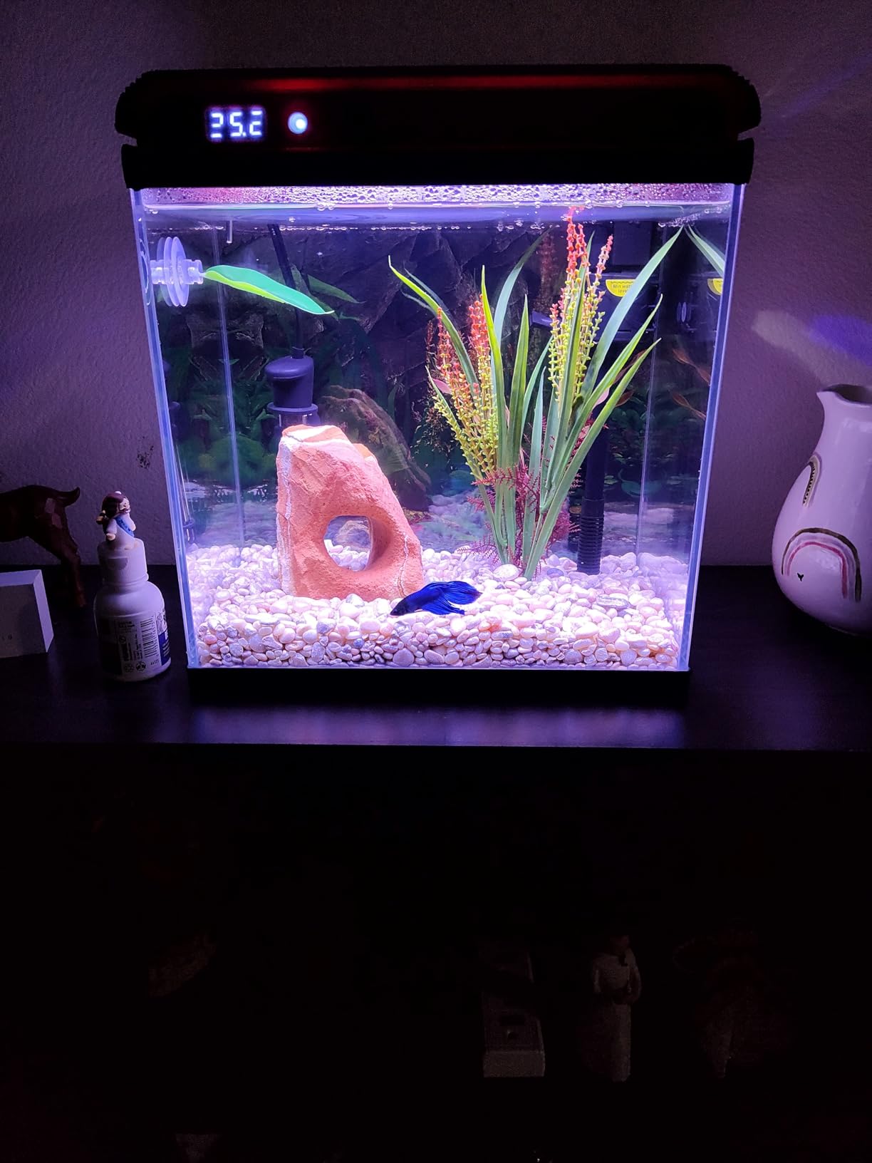 Coospider 20 Gallon Glass Fish Tank, Aquarium Starter Kit, Kids Gift Ideas customer photo 2