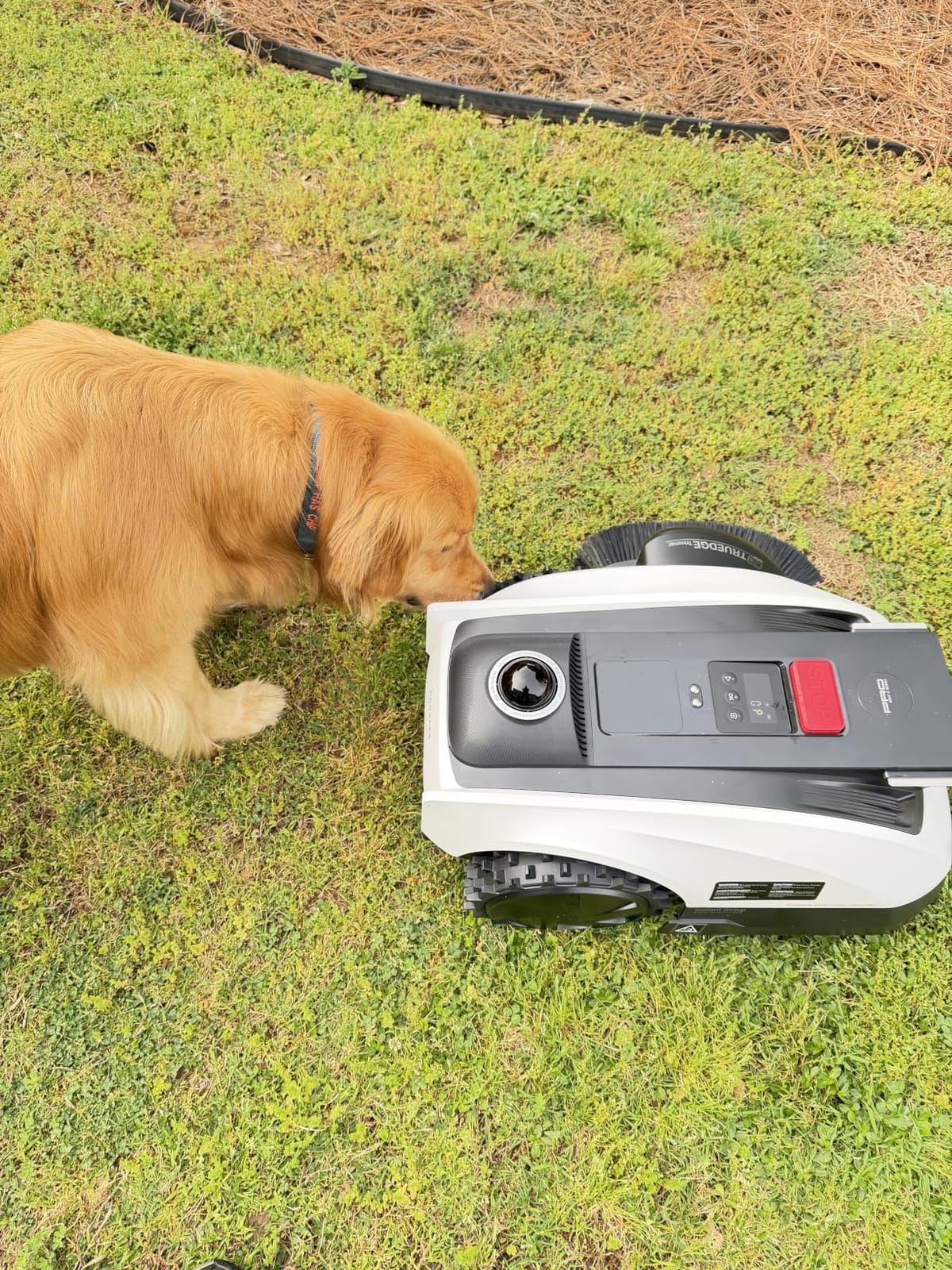ECOVACS Goat O1000 LiDAR PRO Robot Lawn Mower, Wire-Free Robotic Lawn Mower with Dual-LiDAR Navigation, Built-in Edge Trimming, AI Obstacle Avoidance, App Control, for Lawns Up to 1/4 Acre customer photo 1