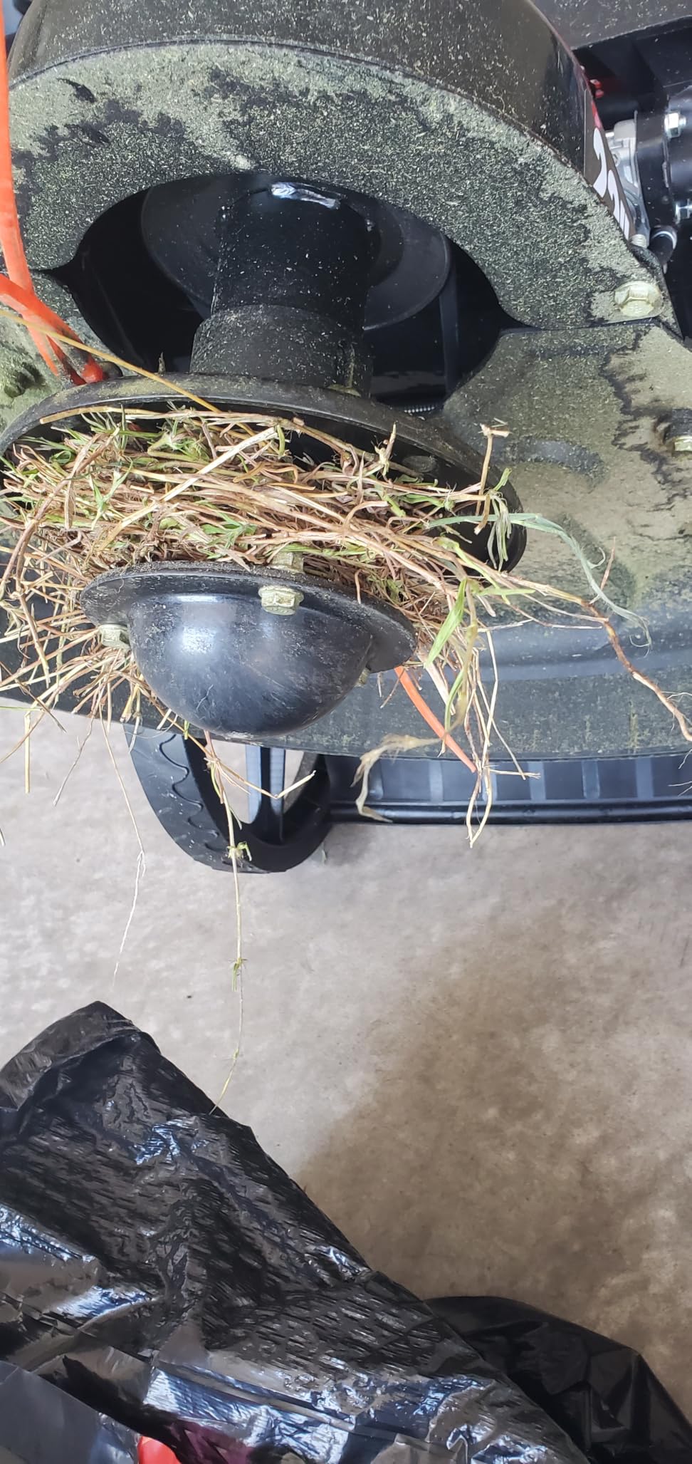 AMERISUN 22-Inch 170cc Walk Behind String Trimmer with 14-Inch High Wheels customer photo 2
