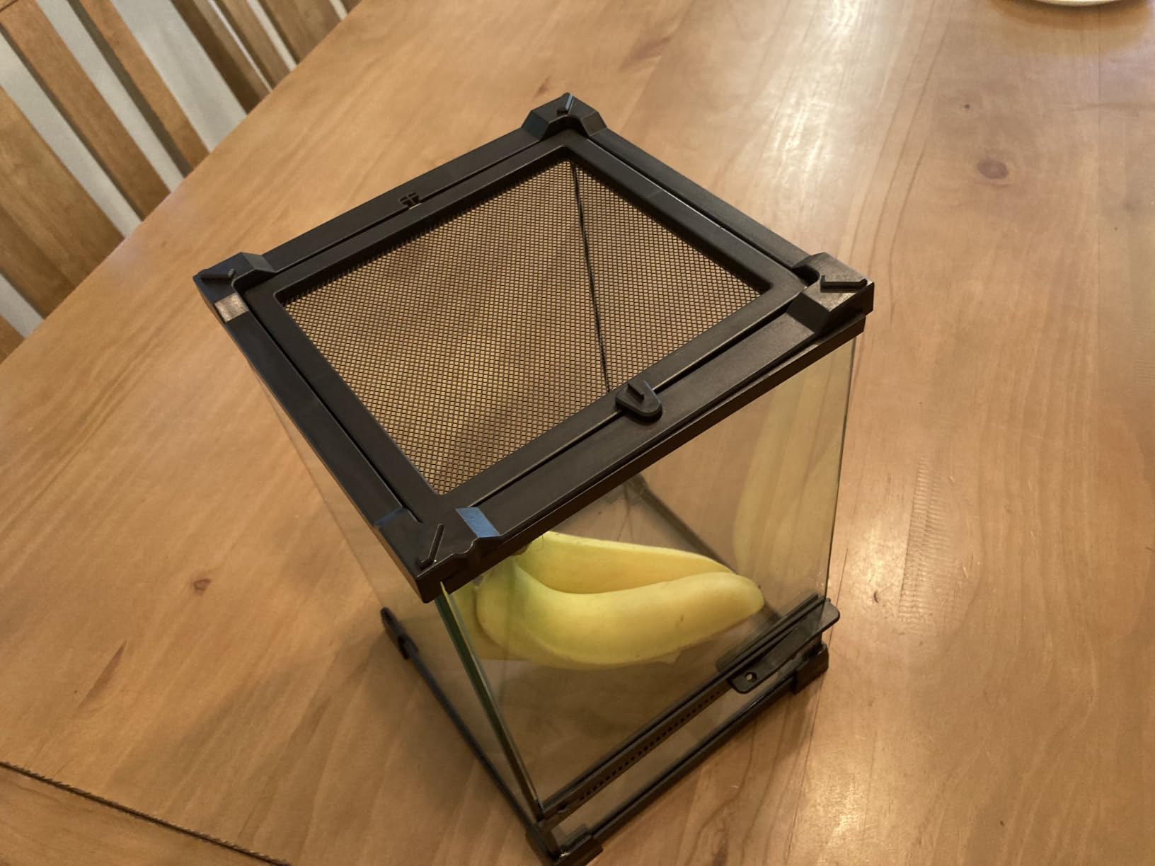 32 Gallon Vertical Glass Reptile Enclosure (18“L x 18