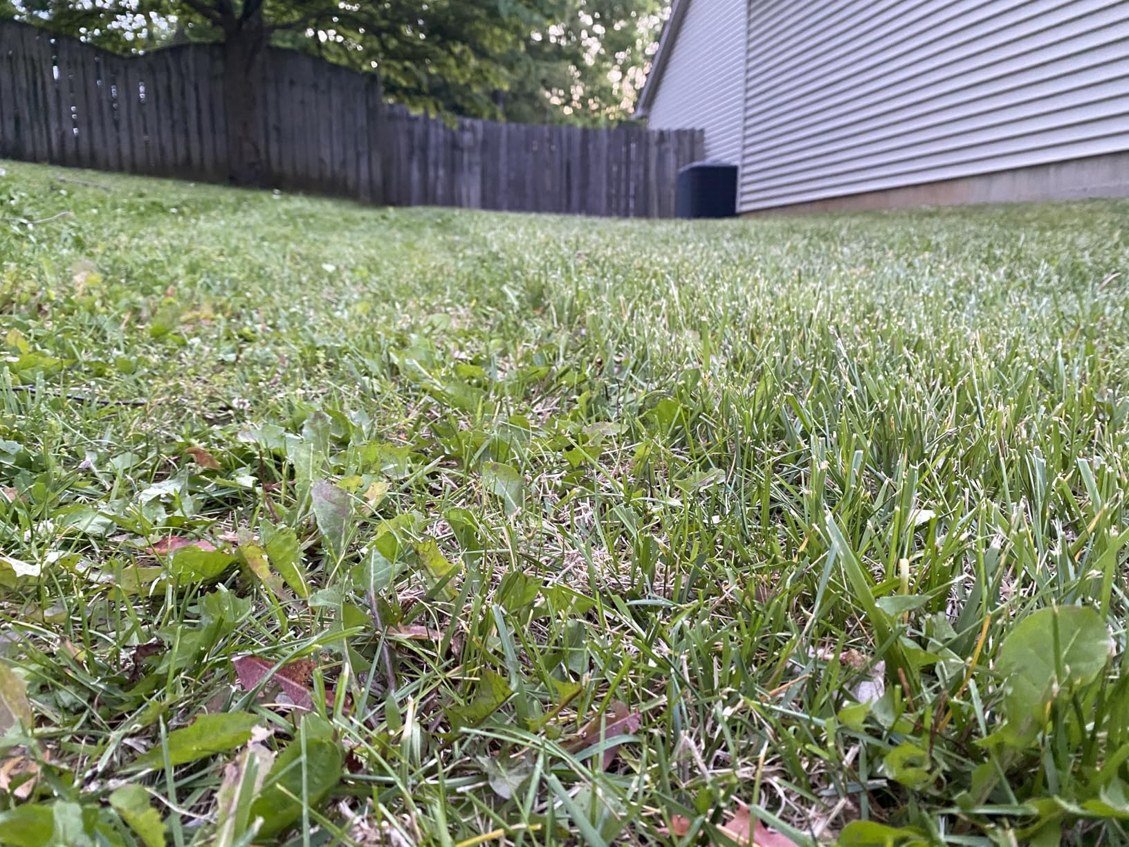 ANTHBOT M9 Robotic Lawn Mower with Garage, 1/4 Acre Wire-Free NRTK & Vision customer photo 1